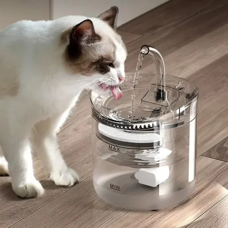Fuente de Agua Transparente para Gatos